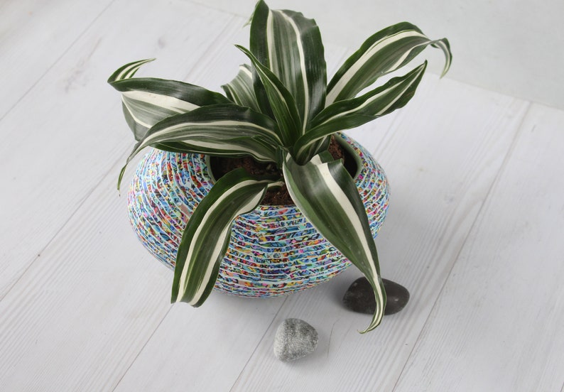 Colorful Pebble Shape Indoor Planter Medium Size, Drainage Hole image 5