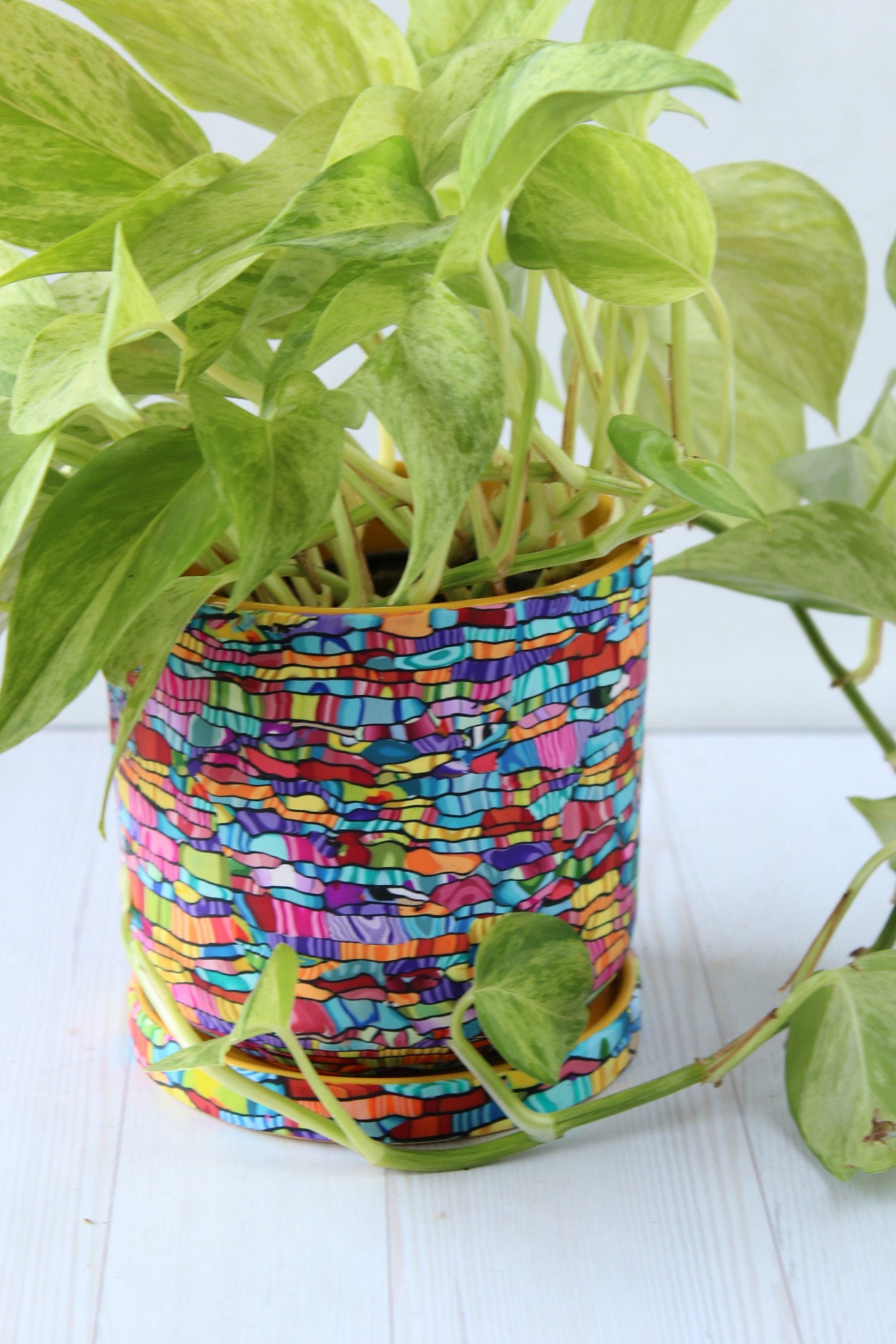 Large & Colorful Indoor Plant Pot With Drainage Plate Etsy Israel