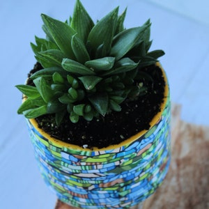 Indoor Planter: Mini Teal, Green & Brown Unique Plant Pot image 8