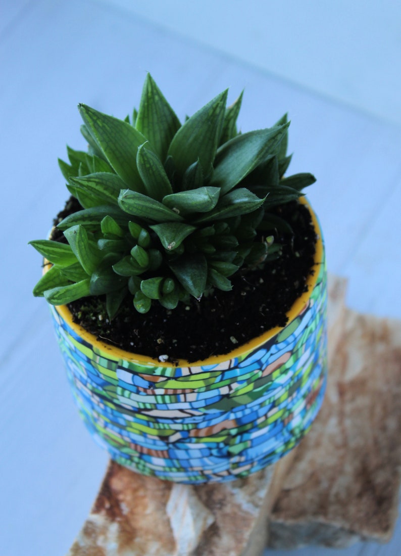 Indoor Planter: Mini Teal, Green & Brown Unique Plant Pot image 8