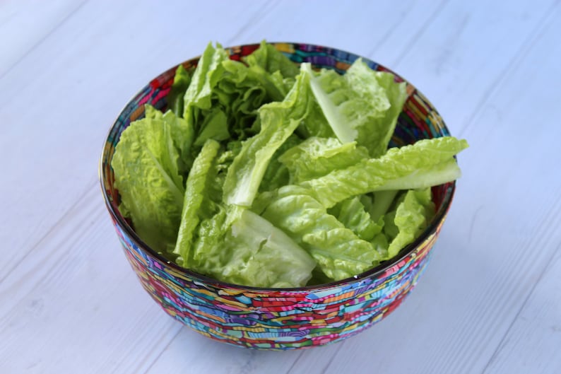 Kleurrijke salade serveerschaal van glas bedekt met polymeerklei afbeelding 8