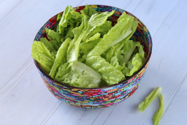 Kleurrijke salade serveerschaal van glas bedekt met polymeerklei afbeelding 6