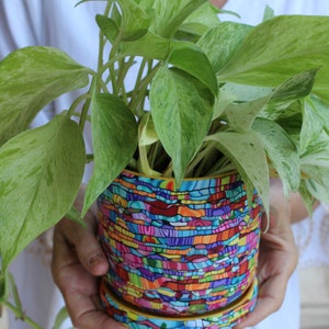 Large Bright and Vibrant Indoor Plant Pot With Drainage Plate image 6