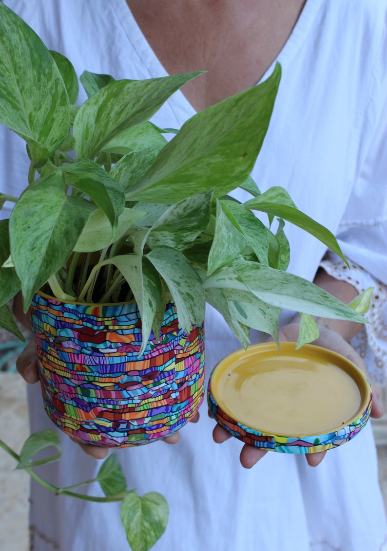 Large Bright and Vibrant Indoor Plant Pot With Drainage Plate image 4