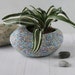 see more listings in the Medium & Big Planters section