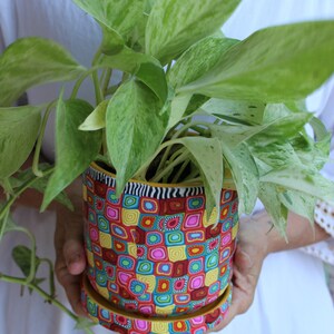 Colorful Indoor Plant Pot With Drainage Plate