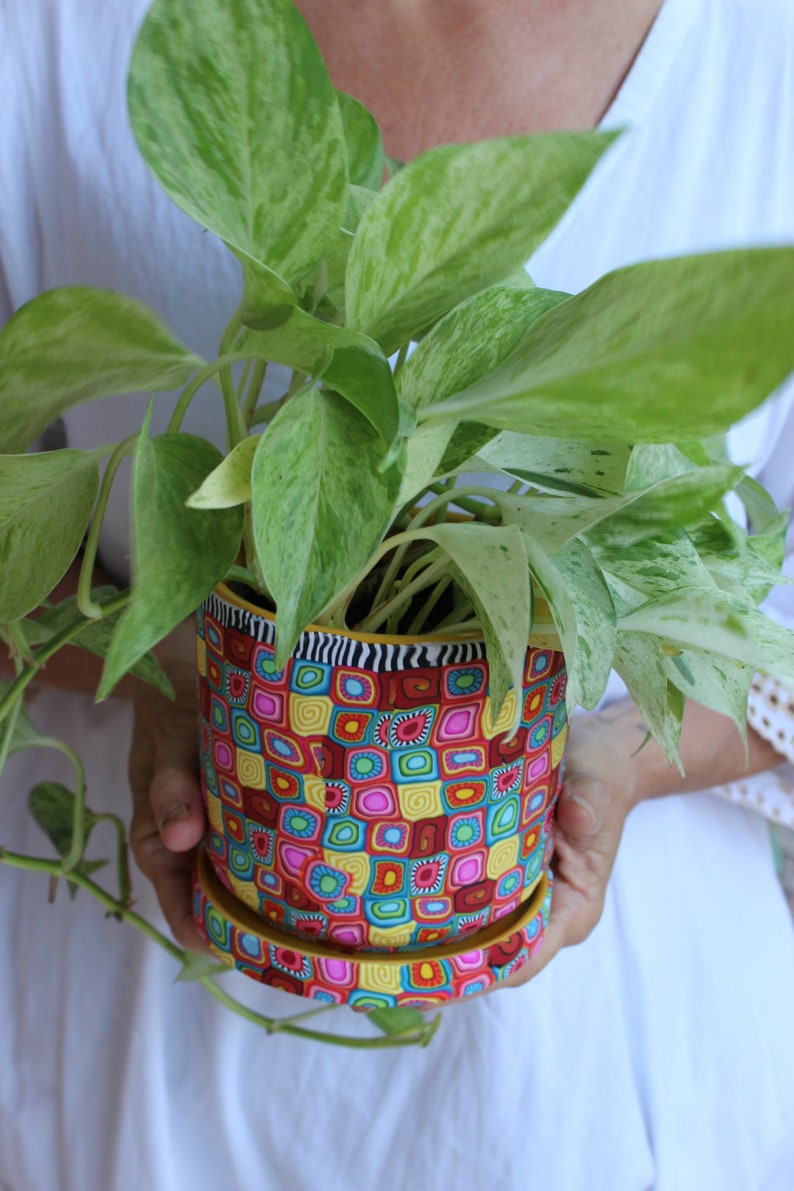 Colorful Indoor Plant Pot With Drainage Plate