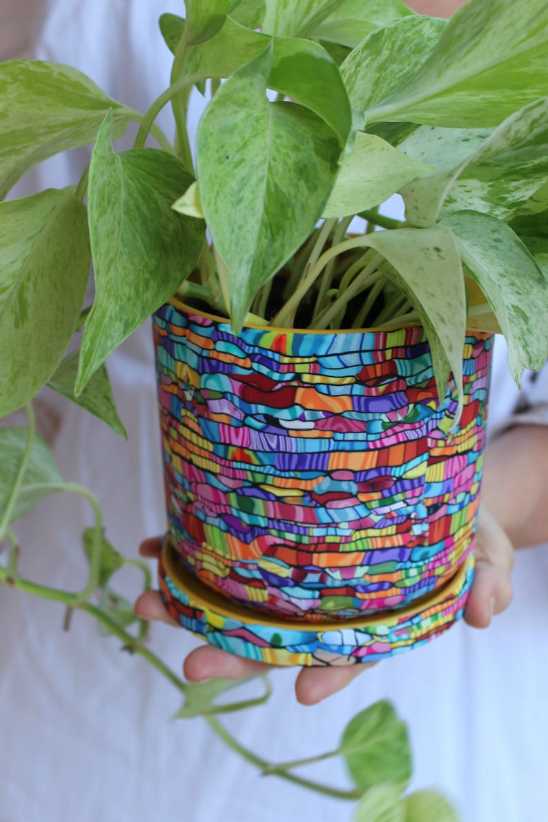 Large Bright and Vibrant Indoor Plant Pot With Drainage Plate image 2