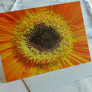 Cartão de flores laranja Gerbera, cartão de felicitações, cartão em branco, cartão de fotografia de natureza, cartão de flores, fotografia de flores