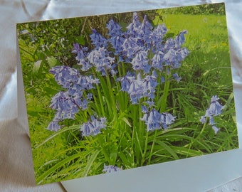 Bluebell Card, Greetings Card, Blank Card, Nature Photography Card, Flower Card, Flower photography