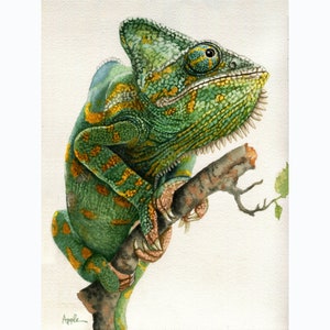 Pittura ad acquerello di camaleonte, arte della fauna selvatica, natura, rettile, lucertola, arte in stile Audubon