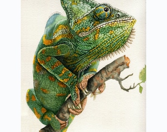 Chamäleon-Aquarell, Malerei der wild lebenden Tiere, Kunst, Natur, Reptil, Eidechse, Audubon-Stil Kunst