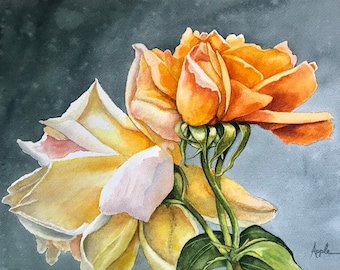 Apricot Nectarine Roses stillife Watercolor Painting, nature, Botanical Style