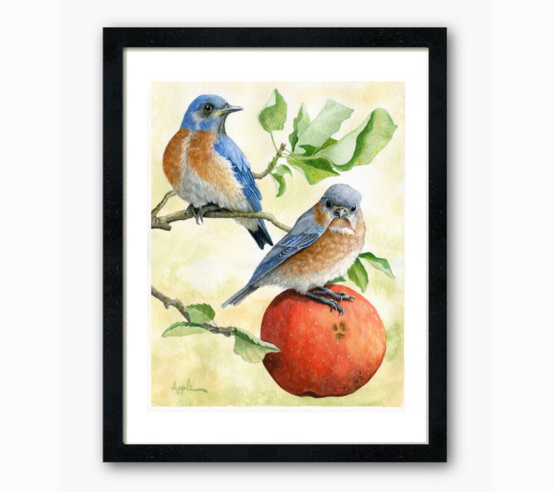 Happy Together Male/Female Bluebirds Bird print of original Wildlife Watercolor Painting, nature animal, Audubon Style nature image 3
