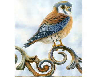 Young American KESTREL Original Wildlife Watercolor Art, Detailed Bird Painting, Nature-Inspired Wall Decor, Ornithology Art Collectible