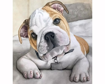 Baby Bulldog dog portrait original painting