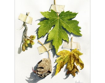Tape It or Leaf It -Four Seasons, botanical nature stillife Autumn Leaves Watercolor Art, nature Inspired Home Decor, Hand-Painted 11x14"