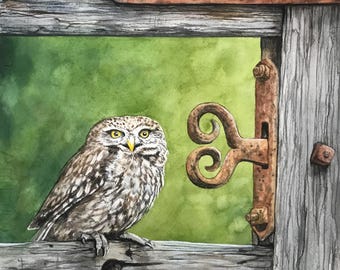 Saw Whet Owl - realistic nature Saw-whet Owl on Rustic Gate – Wildlife Bird Art, Hand-Painted Watercolor Art