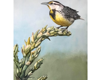 Larking Around - realistic nature Meadow Lark Hand-Painted Watercolor Art, nature Inspired Home Decor,