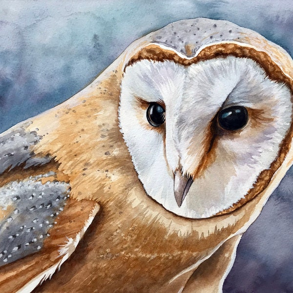 Barn Owl Bird Wildlife Watercolor Painting, Bird art, nature animal, Audubon Style nature