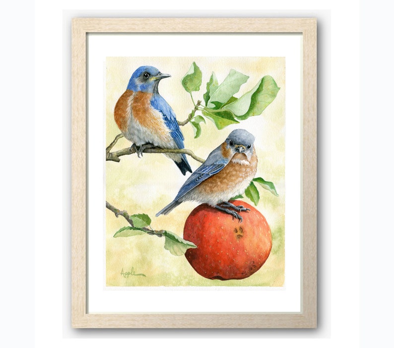 Happy Together Male/Female Bluebirds Bird print of original Wildlife Watercolor Painting, nature animal, Audubon Style nature image 2
