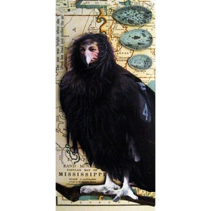 SALE! Unique Crow Woman Collage Shadow Box - Handmade Mixed Media Assemblage Art - Vintage Map Altered Artwork