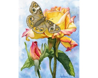 Buckeye Butterfly and Peace Rose Watercolor Floral Painting, Audubon Style nature