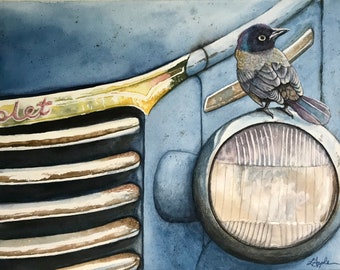 Old Chevy Pick-up & Common Grackle bird portrait original nature Watercolor Painting, Audubon Style