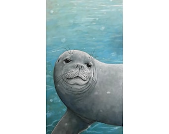 Hawaiian Monk Seal endangered mammal realistic oil painting