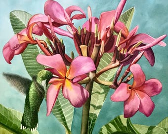Visita à Plumeria" - Flor de plumeria com beija-flor. Natureza-morta floral original, pintura em aquarela da natureza.