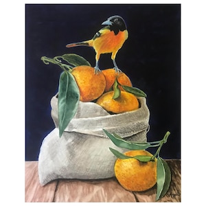 Könnte beinhalten: Ein Aquarellgemälde zeigt einen bunten Vogel mit orange-schwarzem Gefieder, der auf einem Sack voller Orangen sitzt. Grüne Blätter und eine einzelne Orange liegen vor dem Sack. Der Hintergrund ist dunkelblau und kontrastiert mit den hellen Farben von Obst und Vogel.