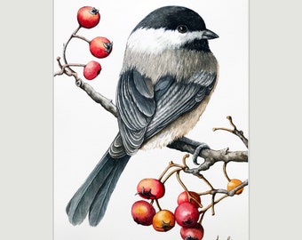 Chickadee State Bird Wildlife Watercolor Print, Bird art, nature animal, Audubon Style nature