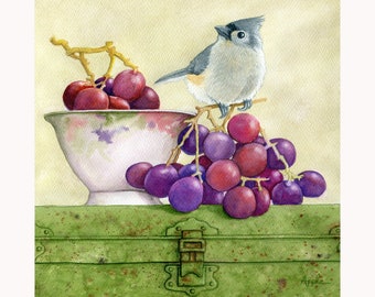 Original Tufted Titmouse Watercolor Painting, Hand-Painted Bird & Grapes Art. Available for art commission.