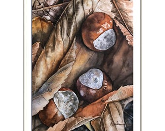 New SALE! Ohio Buckeyes - ORIGINAL Handcrafted nature botanical still life Watercolor Painting