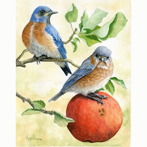 Happy Together Male/Female Bluebirds Bird print of original Wildlife Watercolor Painting, nature animal, Audubon Style nature image 1