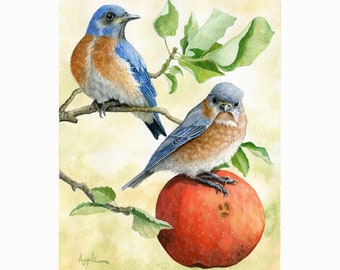 Happy Together- Male/Female Bluebirds Bird print of original Wildlife Watercolor Painting, nature animal, Audubon Style nature
