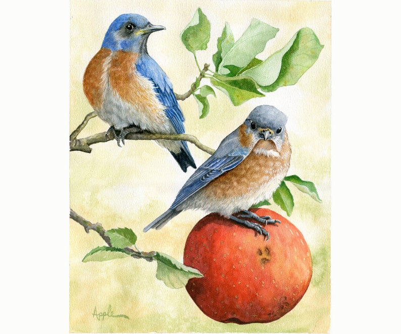 Happy Together Male/Female Bluebirds Bird print of original Wildlife Watercolor Painting, nature animal, Audubon Style nature image 1