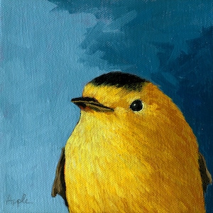 Baby WARBLER  archival print from original animal BIRD oil painting