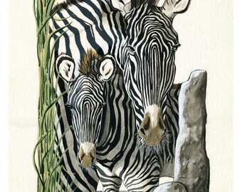 Mother Zebra & Colt - wildlife illustrative Protect Our Children Series print