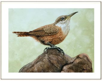 NEW SALE! Canyon Wren-  Hand-painted Original Watercolor Wildlife Avian Artwork, Audubon Style