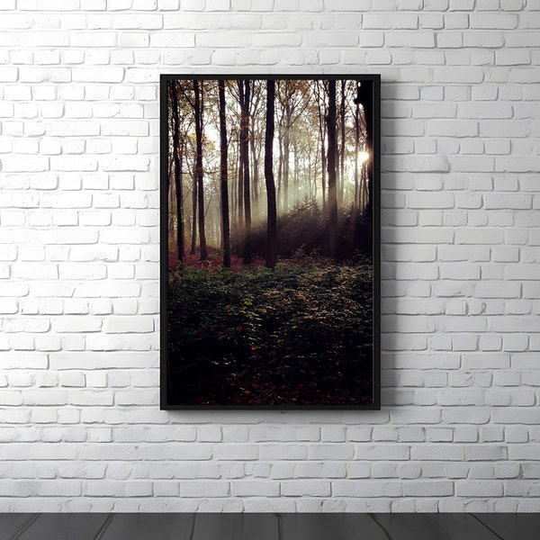 In the forest, digital download, mural, photography, color, decoration, atmospheric, exquisite, mysterious