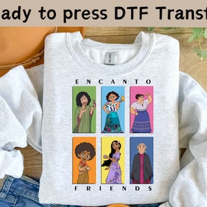 May include: A gray sweatshirt with a graphic print of characters from the Disney movie Encanto. The characters are in squares with the words "Encanto" and "Friends" printed below the squares.