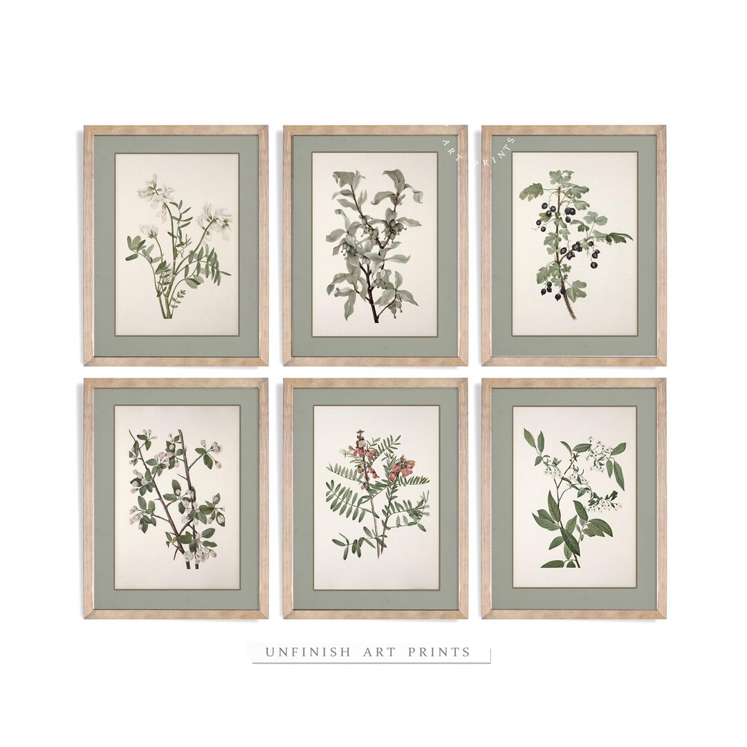 Vintage Botanical Gallery Set of Six | Country Wall Art Prints | Muted ...