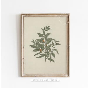 Farmhouse Botanical Print | Vintage green Watercolor PRINTABLE Download | kitchen deor |  neutral wall art | 00062