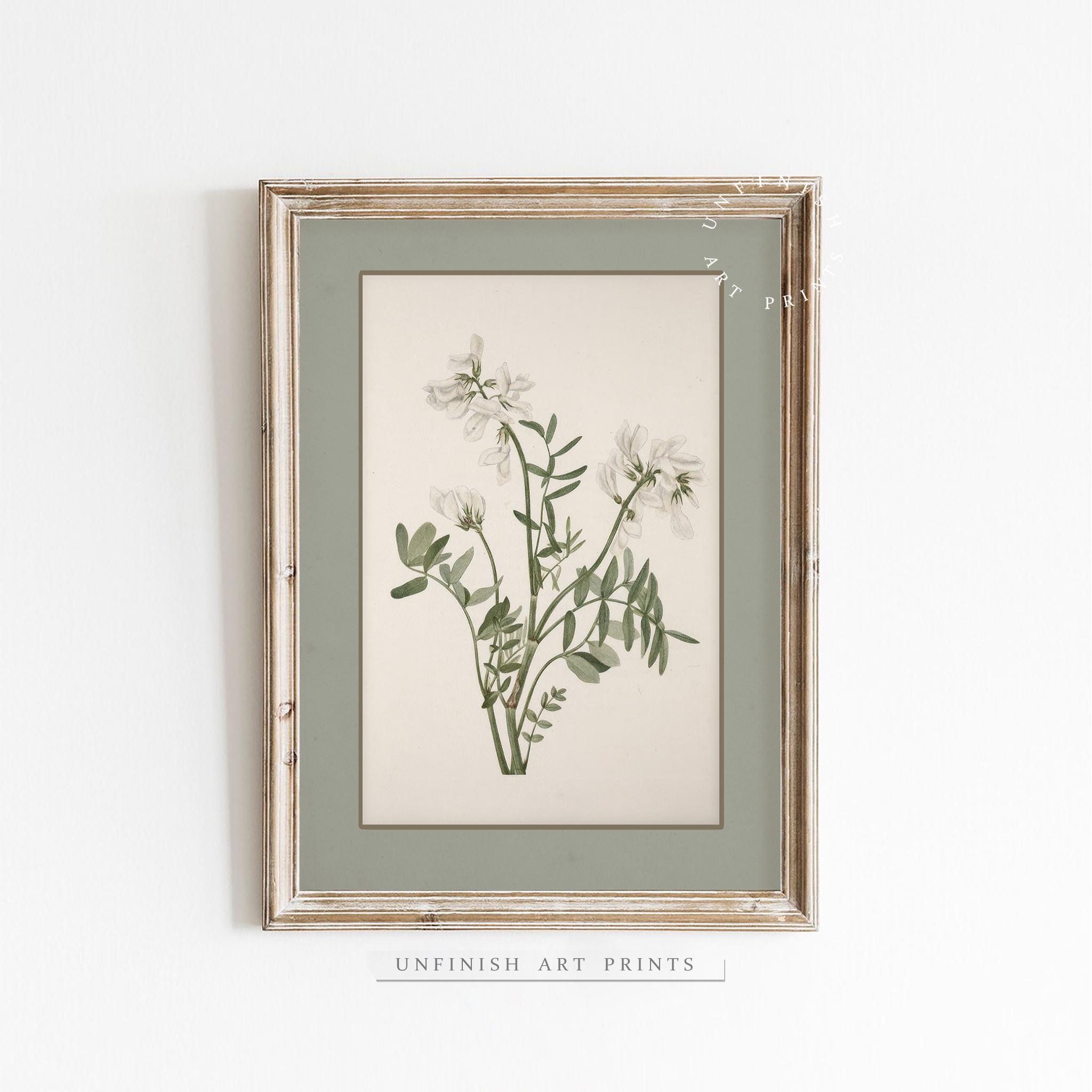 Vintage Botanical Gallery Set of Six | Country Wall Art Prints | Muted ...