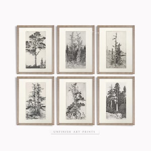 Vintage Baum Skizzen Radierung | Neutral Galerie Wand-Druck-Set | Digital Druckbare Download | G0007