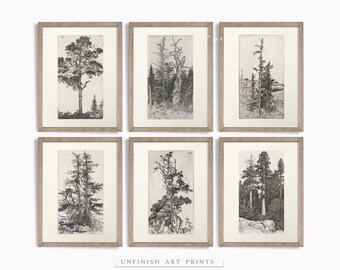 Vintage Tree Sketches Etching Print | Zestaw wydruków ściennych Neutral Gallery | Cyfrowe pobieranie do druku | G0007