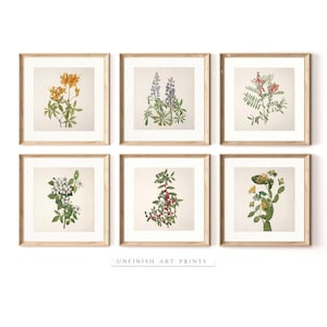 Vintage Botanical Gallery | Square Wall Print SET of Six | Neutral Country Prints | Digital Downloadable | G0017