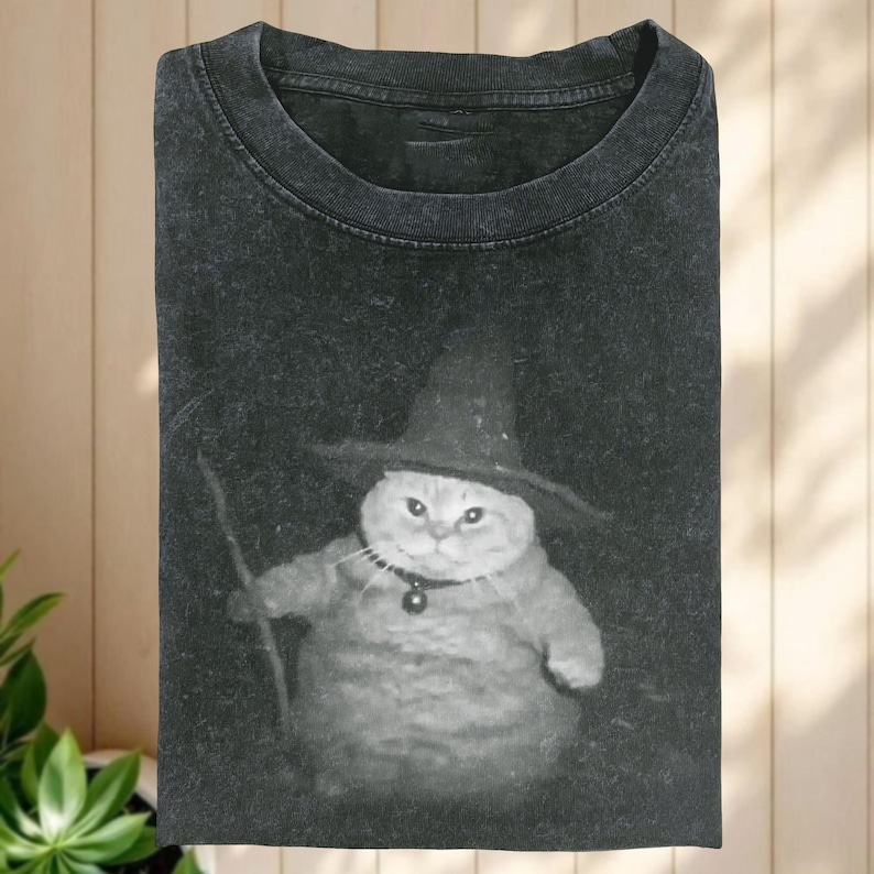 Cat Wizard Meme Comfort Colors TShirt, Funny Kitty Meme Shirt, Cat Lover Gift, Unisex Tshirt