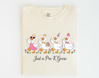 Pre-K Teacher Shirt, Just a Pre-K Goose Tee, Comfort Colors Back to School Shirt, Pre-K Student Shirt, Cute First Day of School Gift